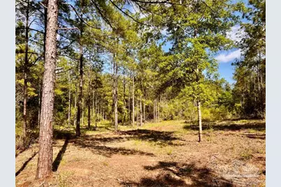 Lot 58 South Timber Ln, Jay, FL 32565 - Photo 11