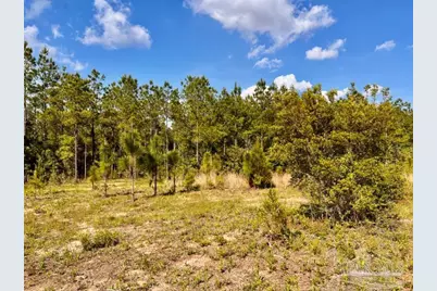 Lot 58 South Timber Ln, Jay, FL 32565 - Photo 7