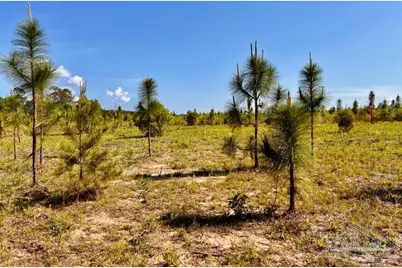 Lot 58 South Timber Ln, Jay, FL 32565 - Photo 9