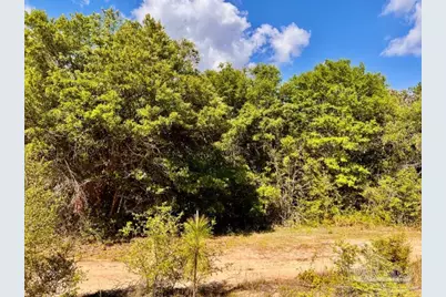 Lot 58 South Timber Ln, Jay, FL 32565 - Photo 13