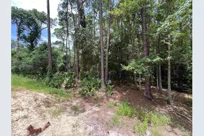 0 Galloway Ln, Gulf Shores, AL 36542 - Photo 3