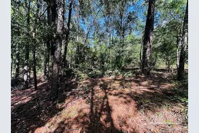 4195 Whippoorwill Dr, Holt, FL 32564 - Photo 17