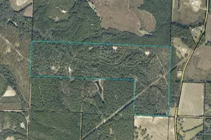 0000 Senterfitt Rd, Laurel Hill, FL 32567 - Photo 1