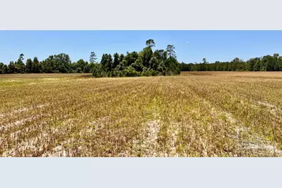 Lot 51 Mineral Springs Rd, Jay, FL 32565 - Photo 11