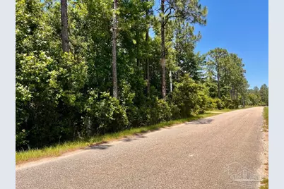 Lot 51 Mineral Springs Rd, Jay, FL 32565 - Photo 7