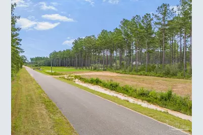 1403 Mineral Springs Rd, Jay, FL 32565 - Photo 5