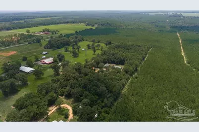 3101 Breastworks Rd, McDavid, FL 32568 - Photo 39