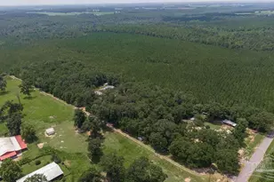 3101 Breastworks Rd, McDavid, FL 32568 - Photo 43