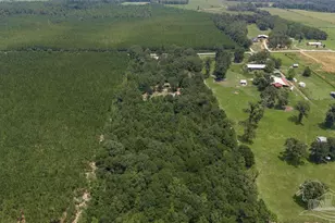 3101 Breastworks Rd, McDavid, FL 32568 - Photo 39