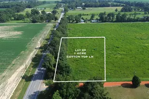 Lot 20 Cotton Top Ln, Milton, FL 32570 - Photo 1
