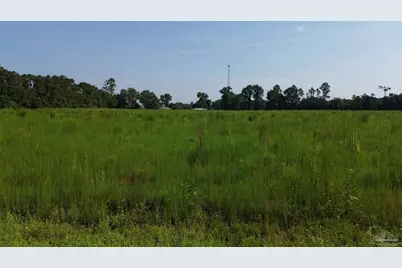 Lot 21 Cotton Top Ln, Milton, FL 32570 - Photo 3