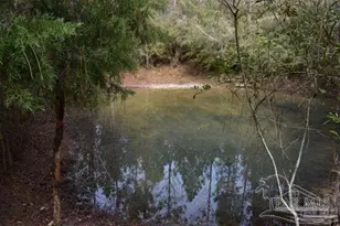 0003 Pat Brown Rd, Milton, FL 32570 - Photo 1