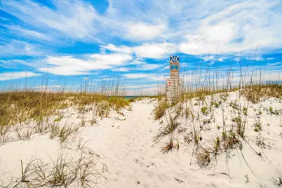 708 Via Deluna Dr, Pensacola Beach, FL 32561 - Photo 7