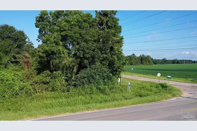 Lot 1 Highway 99A, Walnut Hill, FL 32568 - Photo 7