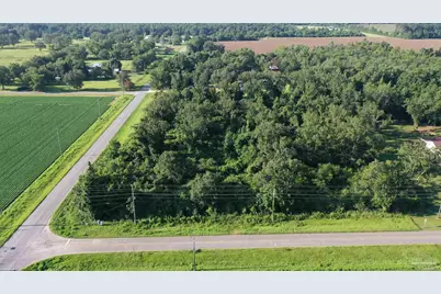 Lot 1 Highway 99A, Walnut Hill, FL 32568 - Photo 13