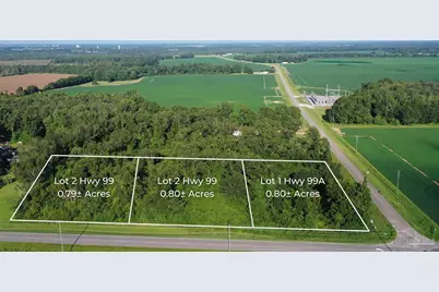 Lot 1 Highway 99A, Walnut Hill, FL 32568 - Photo 17