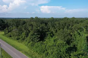 0 Hwy 99A, Walnut Hill, FL 32568 - Photo 1