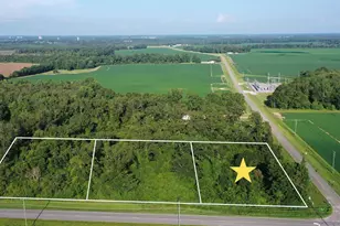Lot 1 Hwy 99A, Walnut Hill, FL 32568 - Photo 1