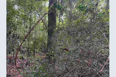 5007 Lillian Hwy, Pensacola, FL 32506 - Photo 13