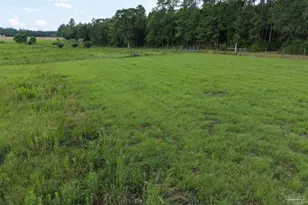 8221 Jakes Rd, McDavid, FL 32568 - Photo 1