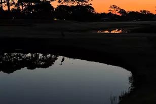 1125 Lionsgate Ln, Gulf Breeze, FL 32563 - Photo 57