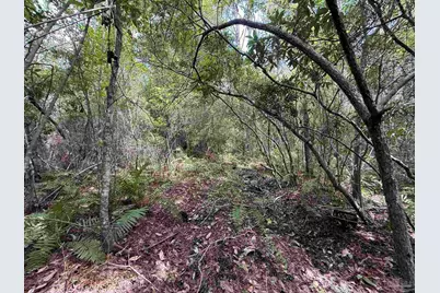 0000 San Raphael Rd, Milton, FL 32583 - Photo 15