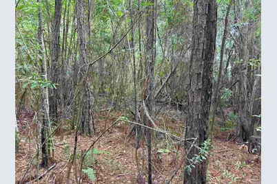 0000 San Raphael Rd, Milton, FL 32583 - Photo 17