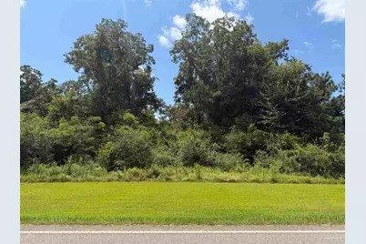 Lot 2 Hwy 99, Walnut Hill, FL 32568 - Photo 1