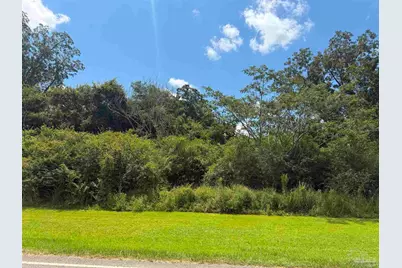 Lot 2 Hwy 99, Walnut Hill, FL 32568 - Photo 7