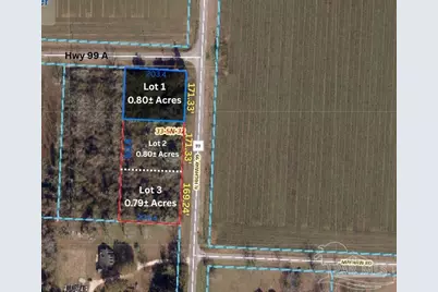 Lot 2 Hwy 99, Walnut Hill, FL 32568 - Photo 3