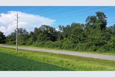 Lot 2 Hwy 99, Walnut Hill, FL 32568 - Photo 5