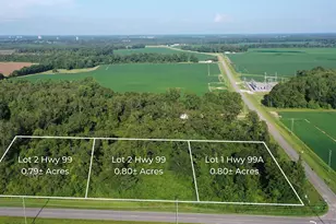 Lot 3 Hwy 99, Walnut Hill, FL 32568 - Photo 1