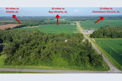 Lot 3 Hwy 99, Walnut Hill, FL 32568 - Photo 5
