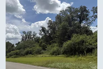 Lot 3 Hwy 99, Walnut Hill, FL 32568 - Photo 15