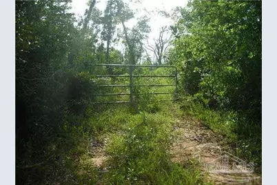 1815 Collinsworth Rd, Milton, FL 32583 - Photo 5