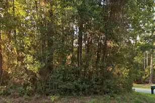 301 Deerfoot Ln, Cantonment, FL 32533 - Photo 1