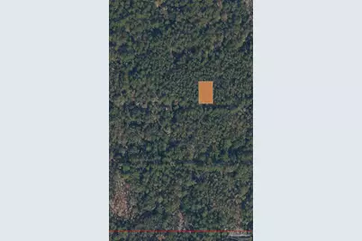214 Garrison Ave, Georgetown, FL 32139 - Photo 3
