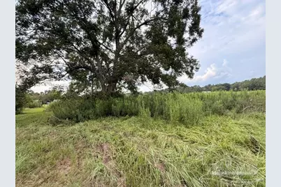 6018 Hwy 99, Molino, FL 32577 - Photo 17