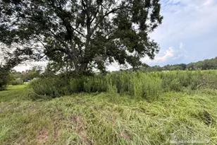 6018 Hwy 99, Molino, FL 32577 - Photo 17