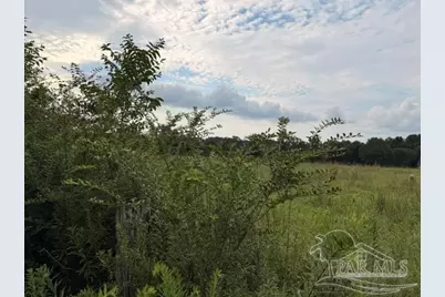 6018 Hwy 99, Molino, FL 32577 - Photo 15