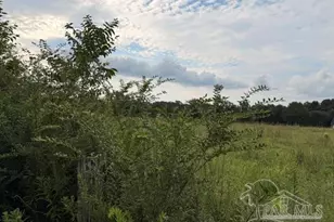 6018 Hwy 99, Molino, FL 32577 - Photo 15