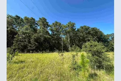 Xxx 9+/- Ac Munson Hwy, Milton, FL 32570 - Photo 5