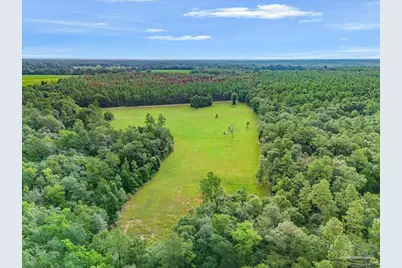 Tbd Gin Rd, Jay, FL 32565 - Photo 1