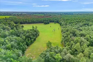 Tbd Gin Rd, Jay, FL 32565 - Photo 1
