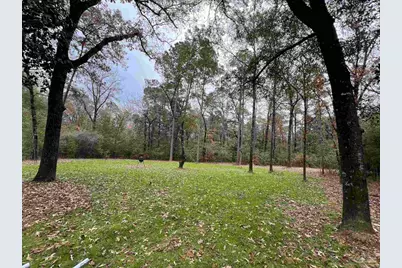 23 Acres Munson Hwy, Milton, FL 32570 - Photo 27