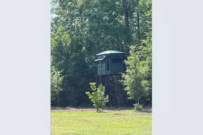23 Acres Munson Hwy, Milton, FL 32570 - Photo 19