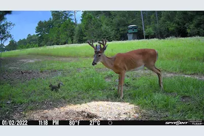 23 Acres Munson Hwy, Milton, FL 32570 - Photo 11