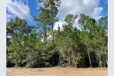 23 Acres Munson Hwy, Milton, FL 32570 - Photo 23
