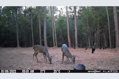 23 Acres Munson Hwy, Milton, FL 32570 - Photo 13