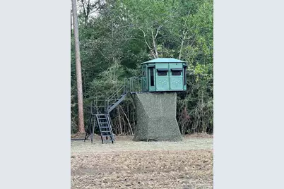 23 Acres Munson Hwy, Milton, FL 32570 - Photo 21